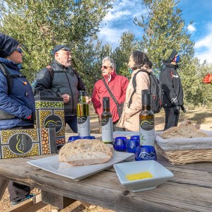 Aragon Hike & Olive Oil Tasting Experience