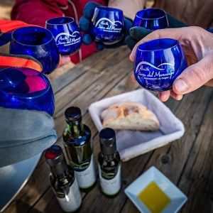 Aragon Olive Oil Tasting Experience