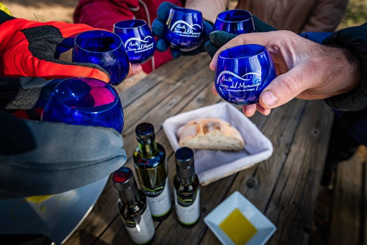 Aragon Olive Oil Tasting Experience