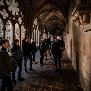 Aragon EVOO Tasting Experience