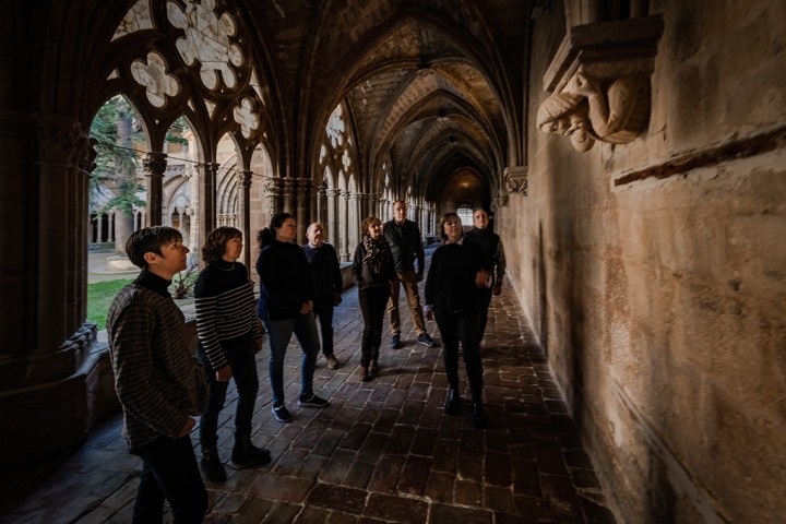 Aragon EVOO Tasting Experience