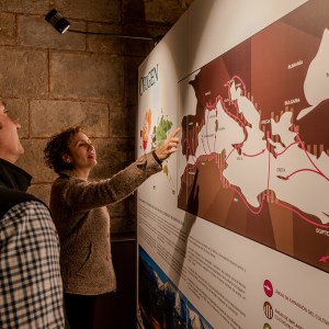 Aragon EVOO Tasting Experience