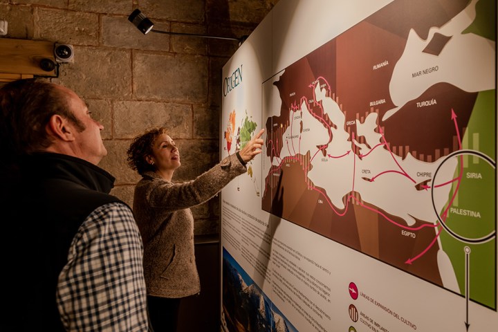 Aragon EVOO Tasting Experience