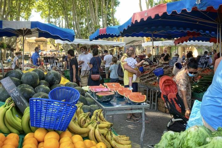 Provence Cooking & Dining Like Locals Experience