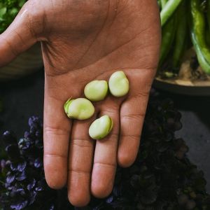 San Sebastian Cooking Class Experience