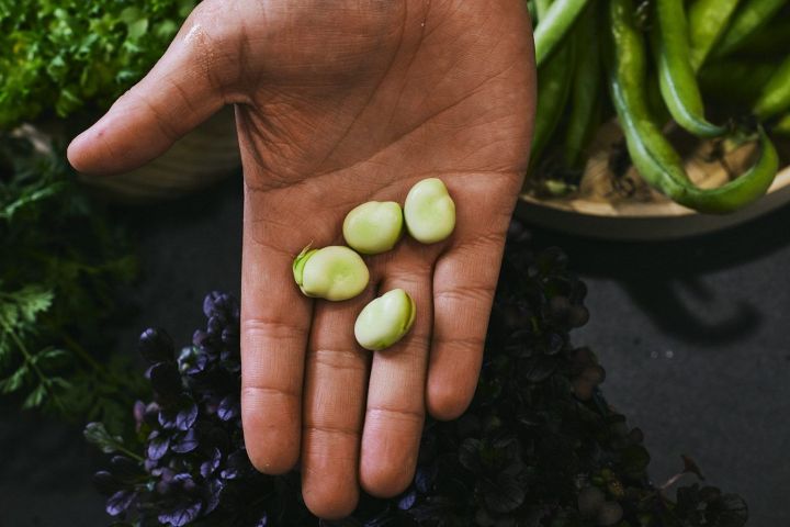 San Sebastian Cooking Class Experience