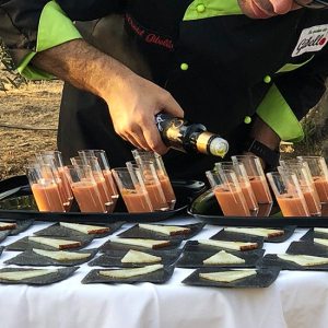 Extremadura Olive Oil Tour & Tasting Experience