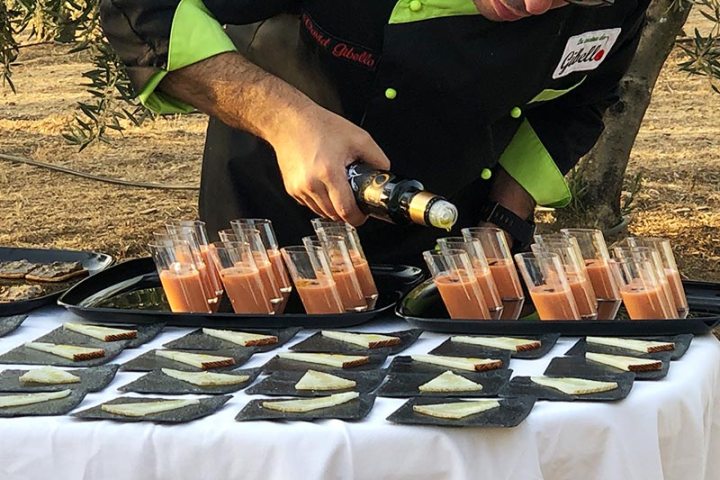 Extremadura Olive Oil Tour & Tasting Experience