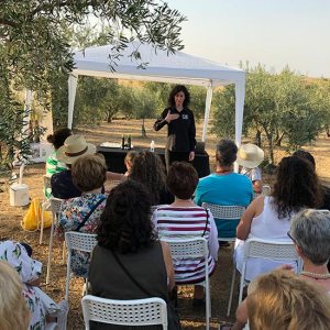 Extremadura Olive Oil Tour & Tasting Experience