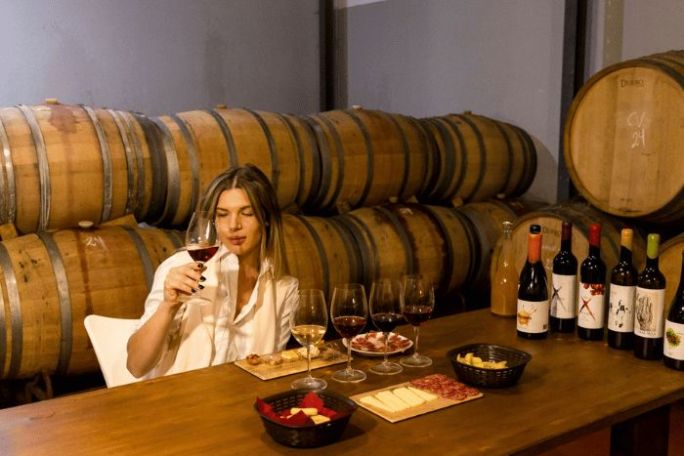 Malaga Organic Wine Tour Experience