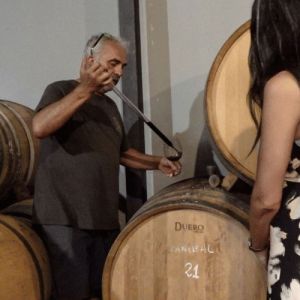 Malaga Organic Wine Tour Experience