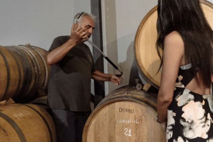 Malaga Organic Wine Tour Experience