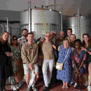 Malaga Organic Wine Tour Experience