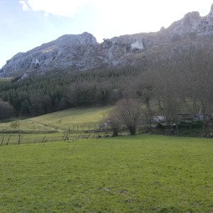 Basque Shepherd For a Day Experience