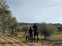 Aragon Olive Oil Visit & Tasting Experience