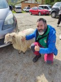 Basque Shepherd For a Day Experience