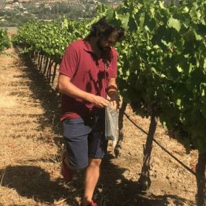 Ronda Wine Tour Experience