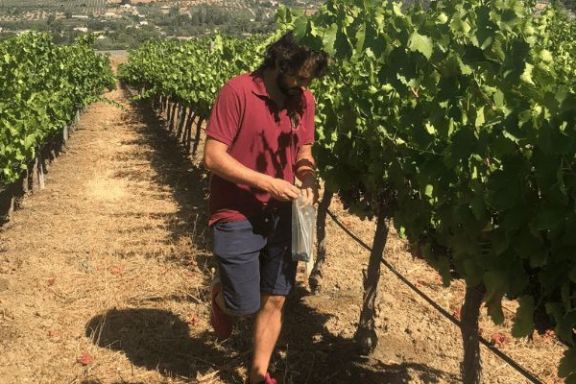 Ronda Wine Tour Experience