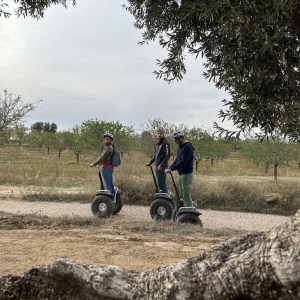 Aragon Matarranya Segway Tour & Oil Tasting Experience