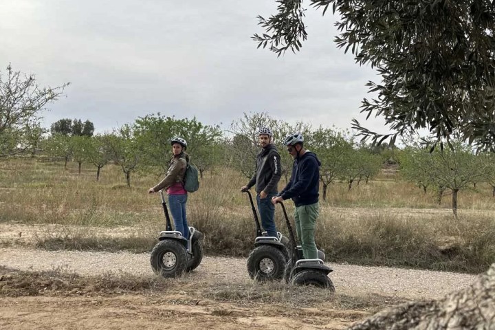 Aragon Matarranya Segway Tour & Oil Tasting Experience