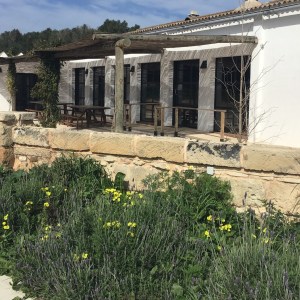 Menorca Mushroom Experience