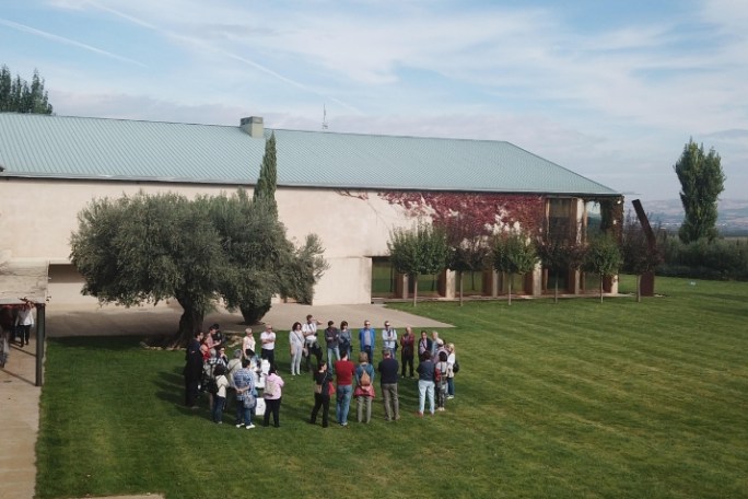 Navarra Guided Tour & Olive Oil Tasting Experience