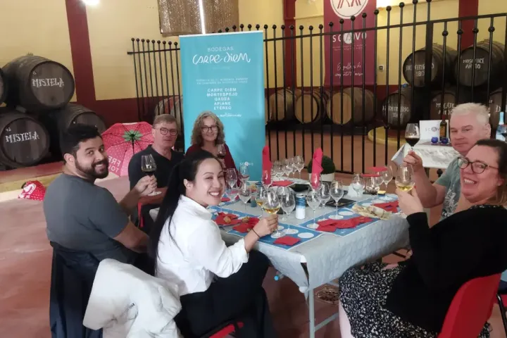 Malaga Organic Wine Tour Experience