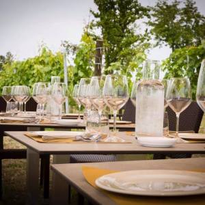 Lazio Region Wine Tour Experience