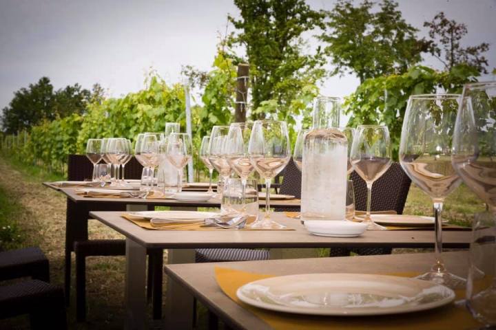 Lazio Region Wine Tour Experience