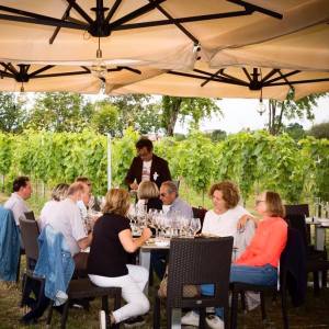 Lazio Region Wine Tour Experience