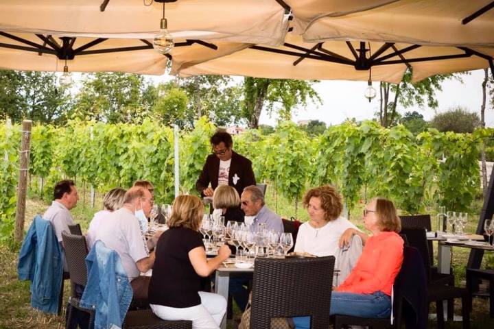 Lazio Region Wine Tour Experience