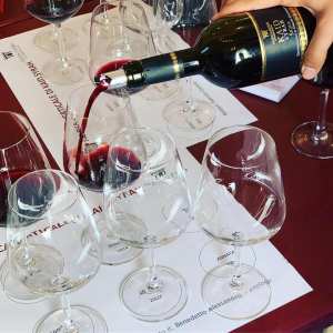 Palermo Wine Tour & Tasting Experience