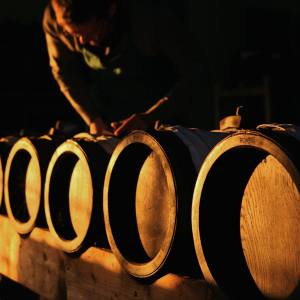 Modena Balsamic Vinegar Visit & Tasting Experience