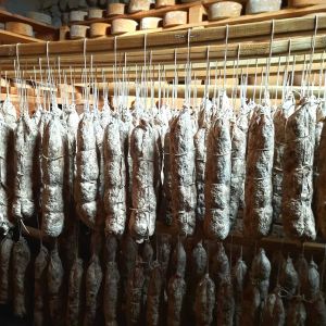 Trentino Farm Tour & Tasting Experience