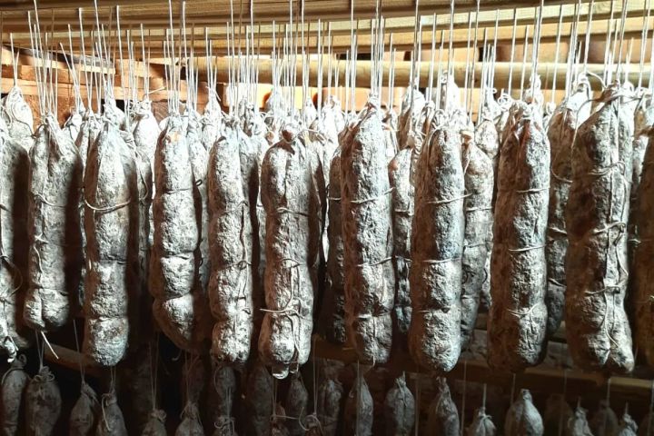 Trentino Farm Tour & Tasting Experience