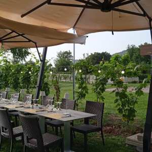 Lazio Region Wine Tour Experience