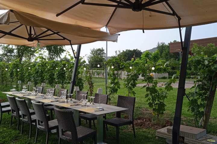 Lazio Region Wine Tour Experience