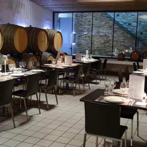 Lazio Region Wine Tour Experience