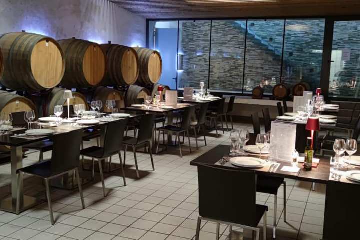 Lazio Region Wine Tour Experience