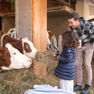 Trentino Farm Tour & Tasting Experience