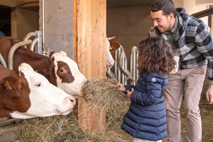 Trentino Farm Tour & Tasting Experience