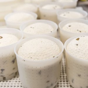 Trentino Farm Tour & Tasting Experience