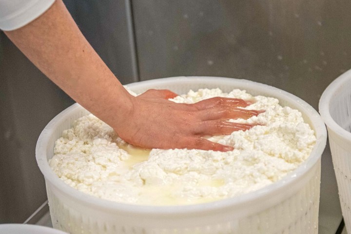 Trentino Farm Tour & Tasting Experience