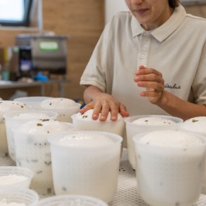 Trentino Farm Tour & Tasting Experience