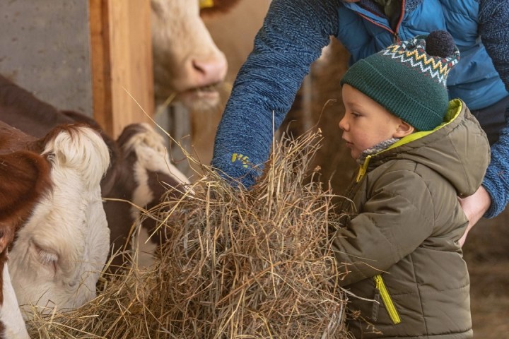 Trentino Farm Tour & Tasting Experience