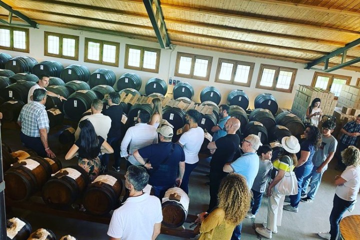 Modena Old Balsamic Vinegar House Visit Experience