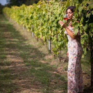 Lazio Region Wine Tour Experience