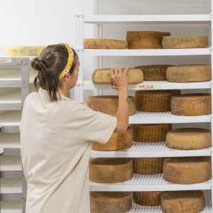 Trentino Farm Tour & Tasting Experience