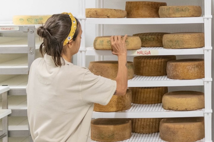 Trentino Farm Tour & Tasting Experience