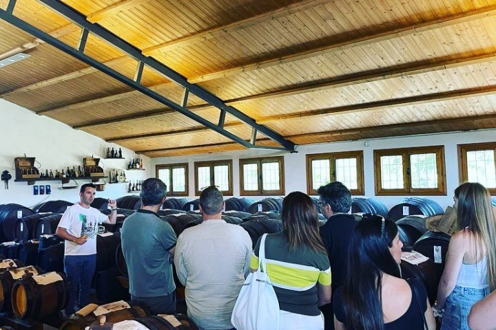 Modena Old Balsamic Vinegar House Visit Experience
